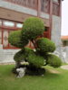 DSCN1508.JPG
