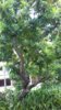 20190921_125754.jpg