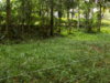 DSCN1482.JPG