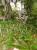 DSCN1499.JPG