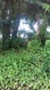 20190922_130635.jpg