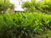 DSCN1493.JPG