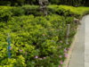 DSCN1494.JPG