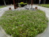 DSCN1495.JPG