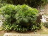 DSCN1513.JPG