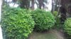 20190922_130648.jpg