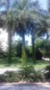 20190920_105454.jpg