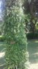 20190920_105528.jpg
