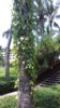 20190920_125549.jpg