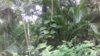 20190922_171144.jpg