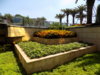 DSCN1464.JPG