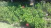 20190920_105753.jpg
