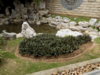 DSCN1512.JPG