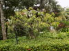 DSCN1503.JPG