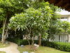 DSCN1514.JPG