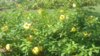 20190920_105858.jpg
