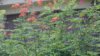 20190920_130314.jpg