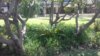 20190920_105907.jpg
