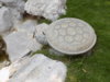 DSCN1556.JPG