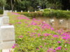 DSCN1507.JPG