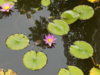 DSCN1502.JPG