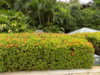 DSCN1506.JPG