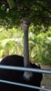 20190920_111734.jpg
