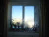 DSC08702.JPG
