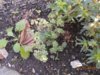 DSCN6292.JPG