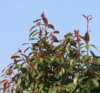 179235_49a50abc.jpg
