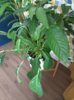 IMG_20200320_134844.jpg