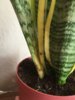 IMG_0459.jpeg