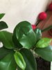 IMG_0570.jpeg