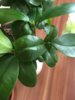 IMG_0572.jpeg