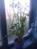 20200401_174859.jpg