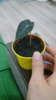 upload_2020-4-16_18-31-53.png