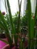 IMG_20200425_115428.jpg