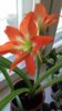 20190509_125827.jpg
