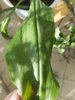 20200508_165804.jpg