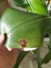 20200508_165750.jpg