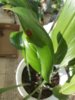 20200508_165745.jpg