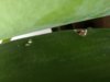 IMG_20200525_081615.jpg