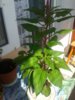 20200711_101153.jpg