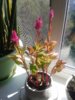 20200711_101057.jpg