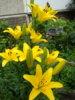 DSC04117.JPG
