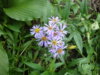 DSC04082.JPG