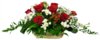 101207-5_3.jpg