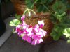 20200805_144913.jpg