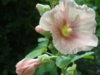 DSC04172.JPG