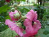 DSC04149.JPG